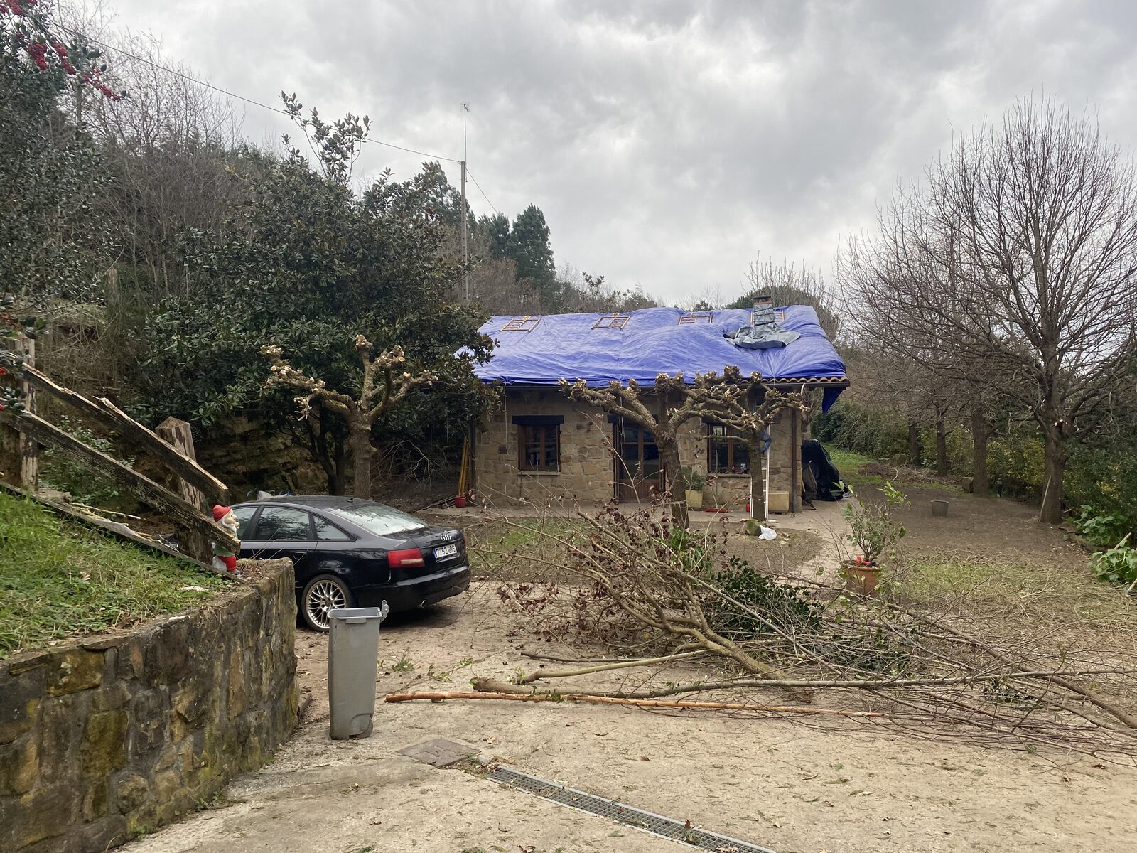 Ramas de poda recogidas frente a la vivienda con cubierta protegida