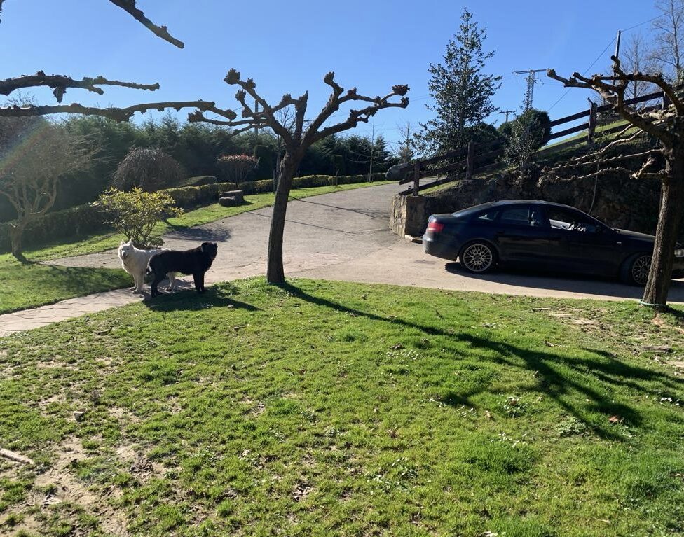Zona ajardinada despejada tras el desbroce