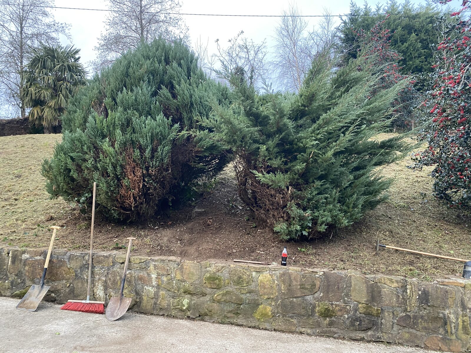Setos de gran tamaño recortados junto a herramientas de jardinería
