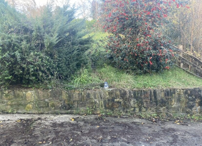 Muro de piedra y seto recortado tras la limpieza del terreno